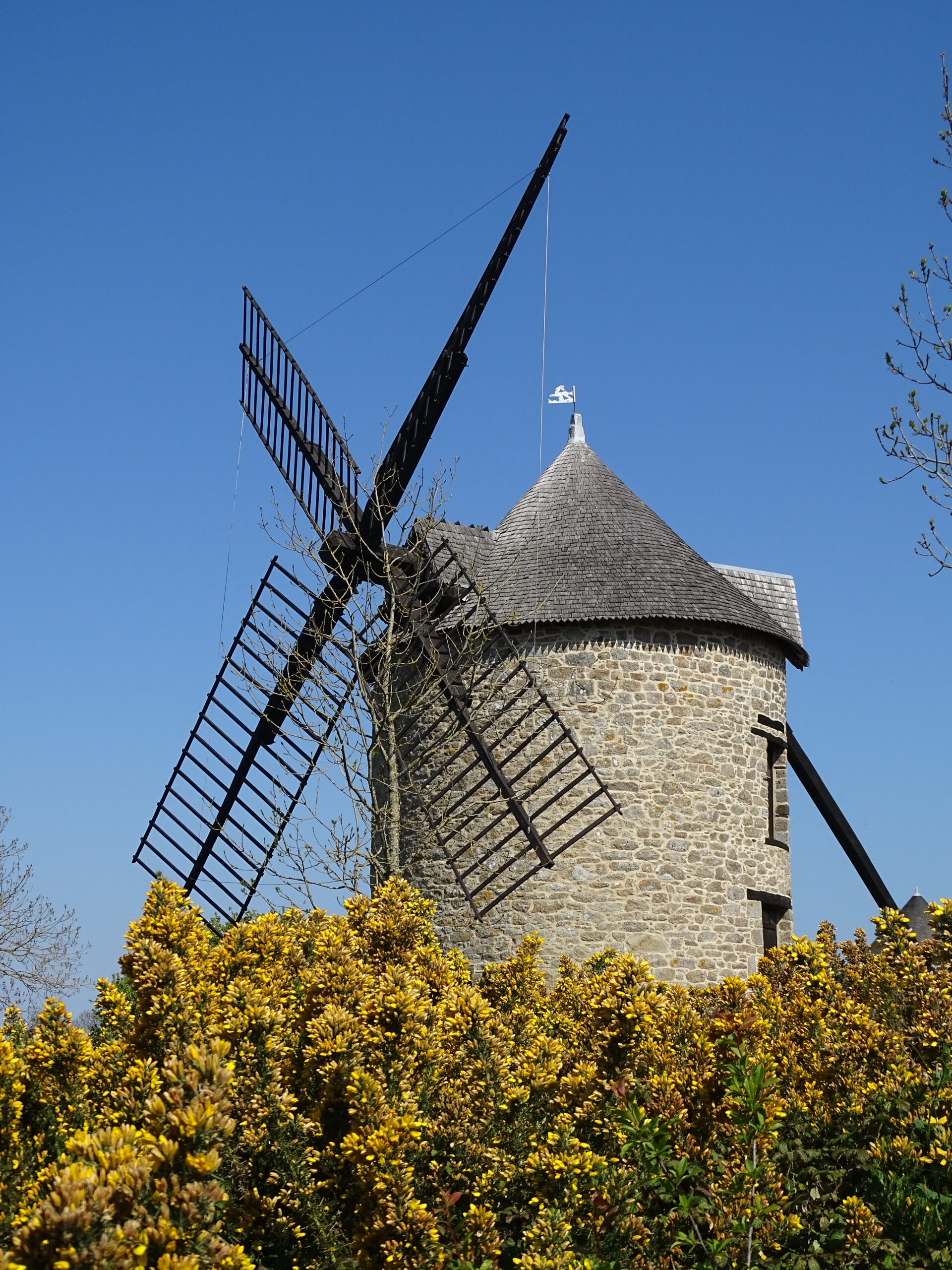 Mont-Dol (35)