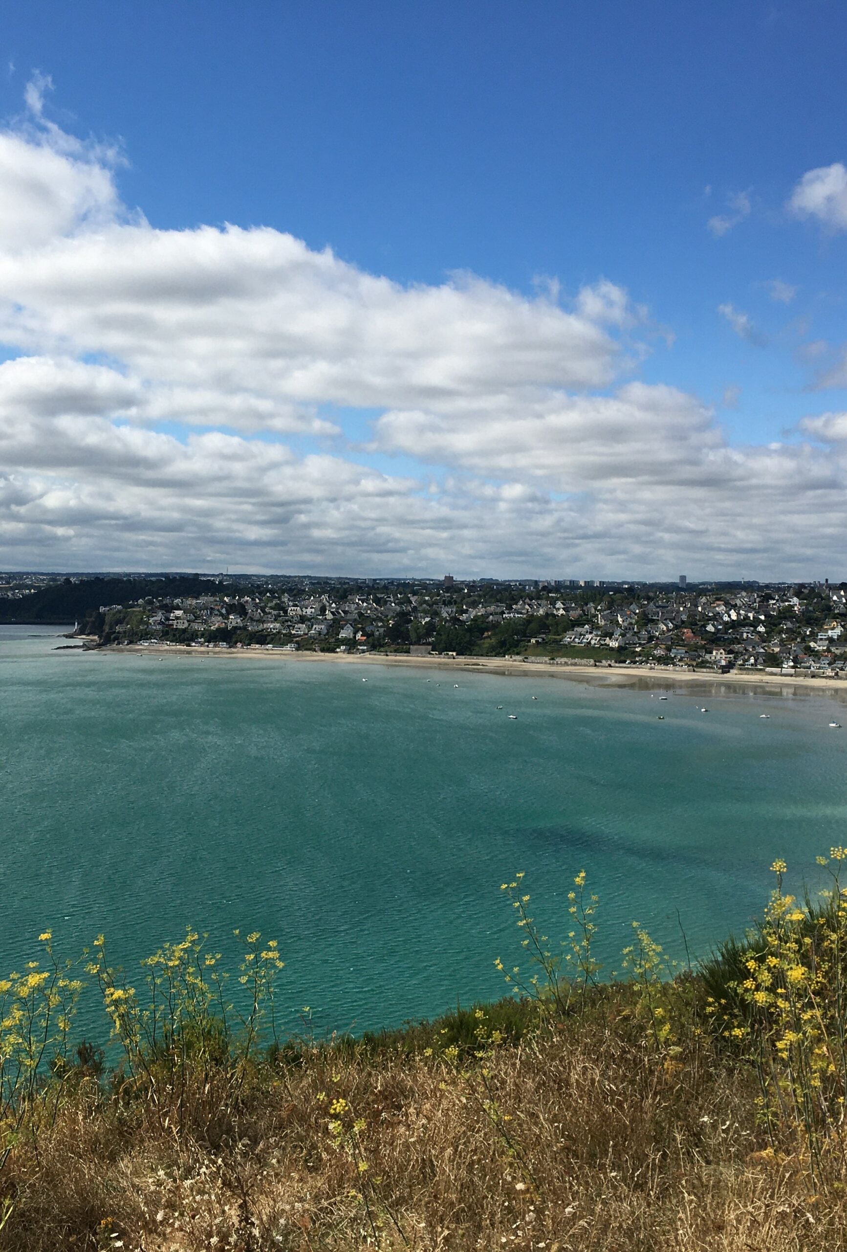 Plérin-sur-Mer (22)